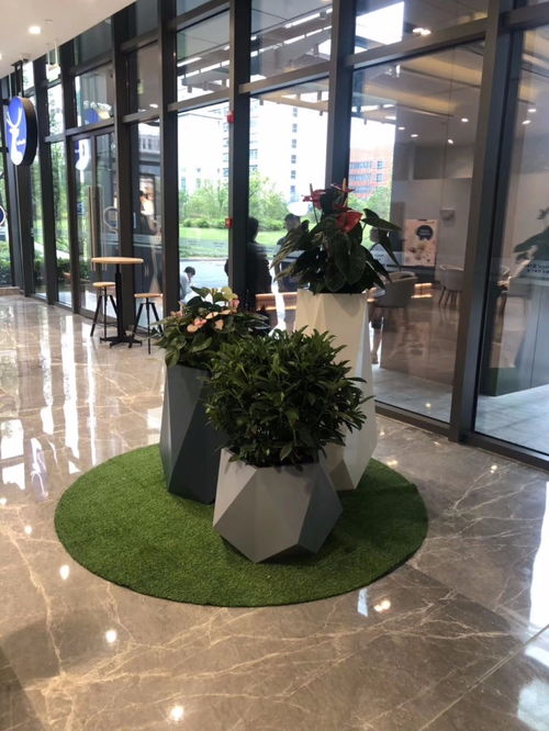 打造理想中的別墅庭院花園 從設(shè)計(jì)施工到綠化養(yǎng)護(hù)全攻略